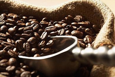 《真三国无双：起源》大型DLC 2026年1月发售 同步登陆Switch 2